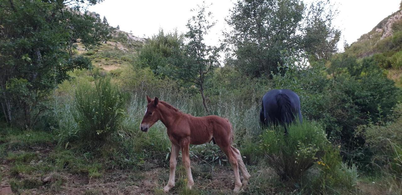Casa Rural Carmen Luna Mallo de Luna Eksteriør billede